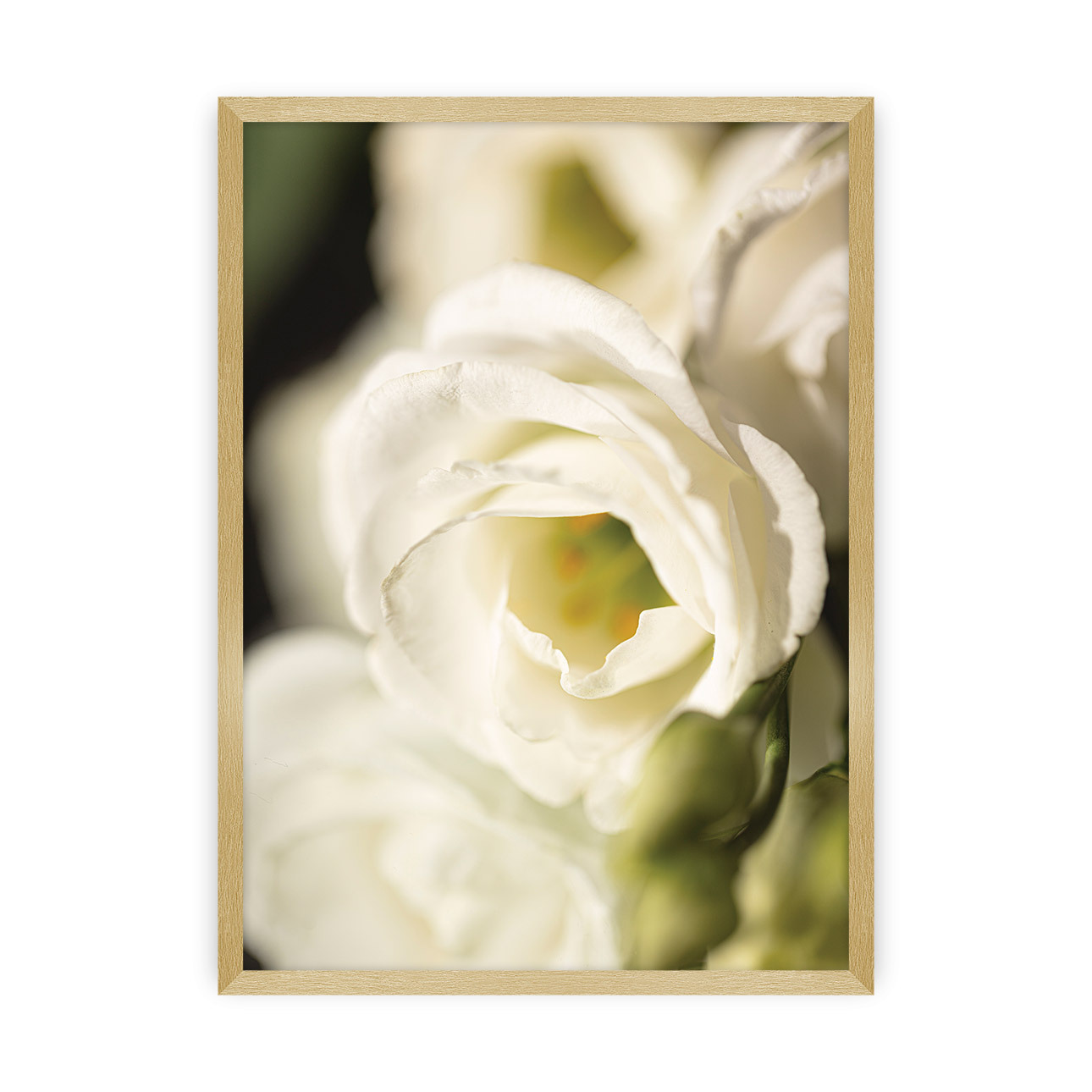 Poster Flower Wall, 21 x  30 cm, Rahmen wählen: gold günstig online kaufen