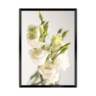 Plakát Elegant Flowers 30 x 40 cm