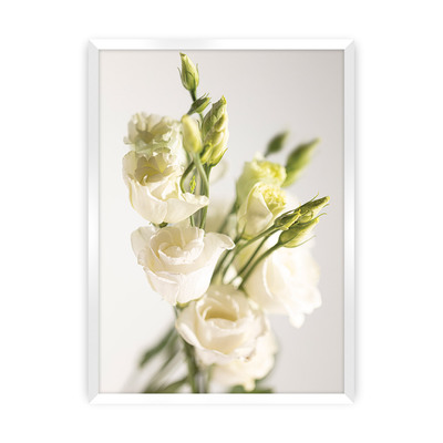 Plakát Elegant Flowers 30 x 40 cm