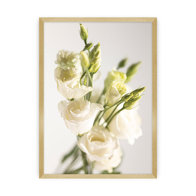 Plakát Elegant Flowers 40 x 50 cm