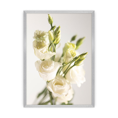 Plakát Elegant Flowers 40 x 50 cm