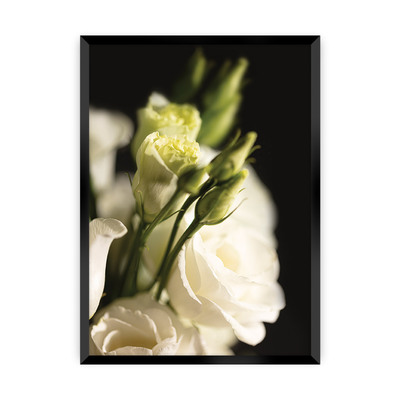Plakát Dark Flowers I 21 x  30 cm