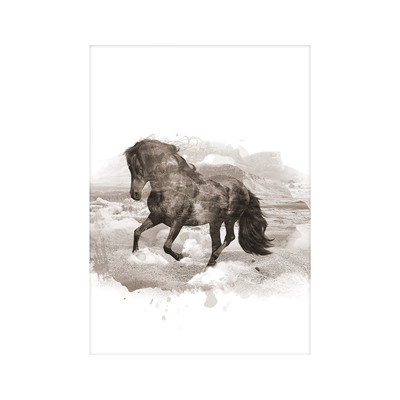 Poster Horse