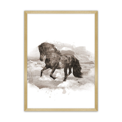 Plakát Horse 30 x 40 cm