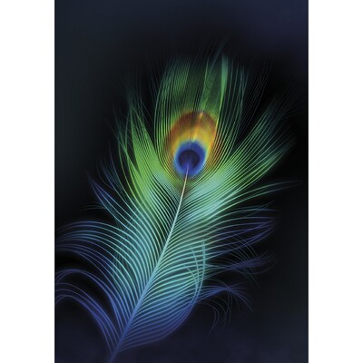 Obraz na plátně Peacock Eye 35 x 50 cm