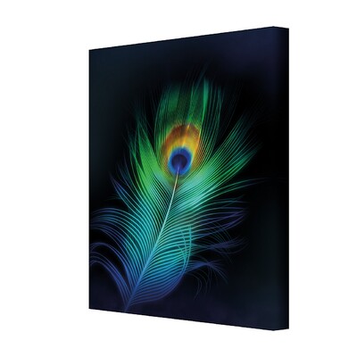 Obraz na plátně Peacock Eye 35 x 50 cm