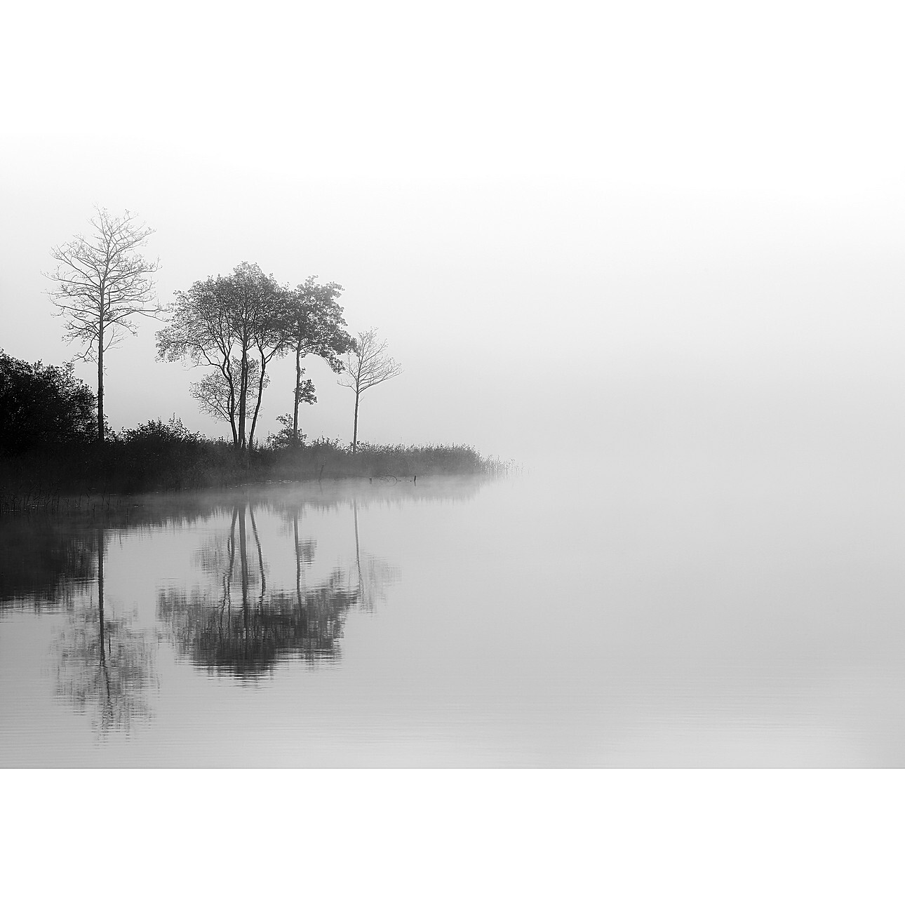 Dekoria Obraz na plátně By the Lake I, 70 x 100 cm