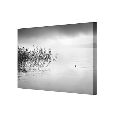 Obraz na plátně By the Lake II 100 x 70 cm
