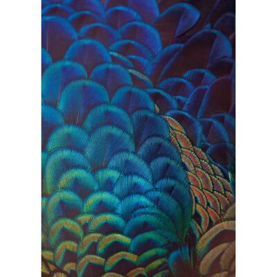 Obraz na plátně Multicolor Feathers 35 x 50 cm