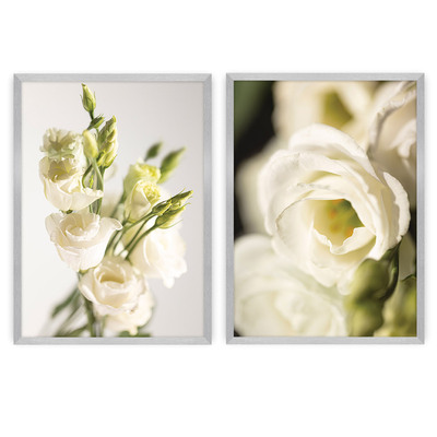 Bilder-Set Flowers 2 Stck. 50 x 70 cm