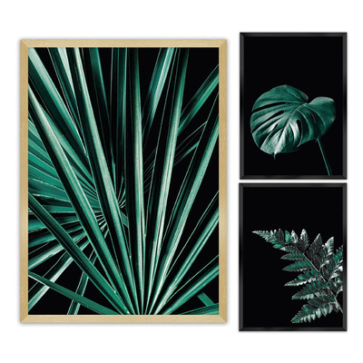 Botanica 3db képkészlet.