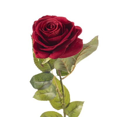 Kwiat Red Rose 67cm