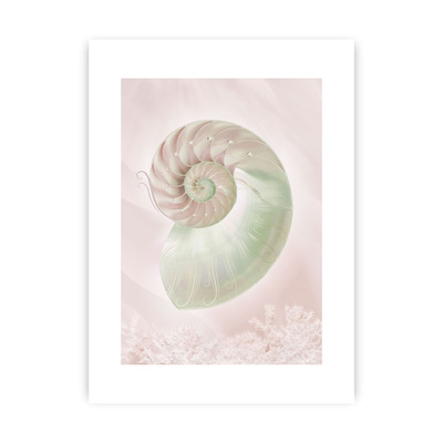 Plakát Pastel Pink III 30 x 40 cm
