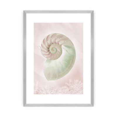 Plakát Pastel Pink III 30 x 40 cm