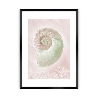 Plakát Pastel Pink III 30 x 40 cm