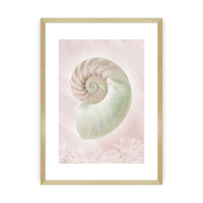 Poster Pastel Pink III 70 x 100 cm