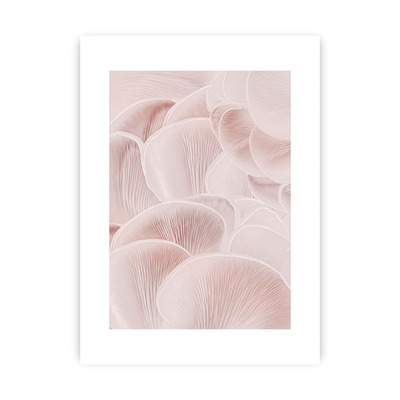 Plakát Pastel Pink I 30 x 40 cm
