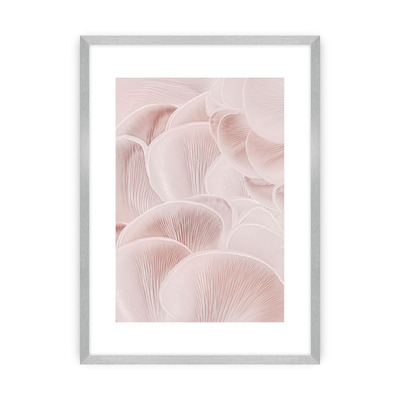 Plakát Pastel Pink I 30 x 40 cm