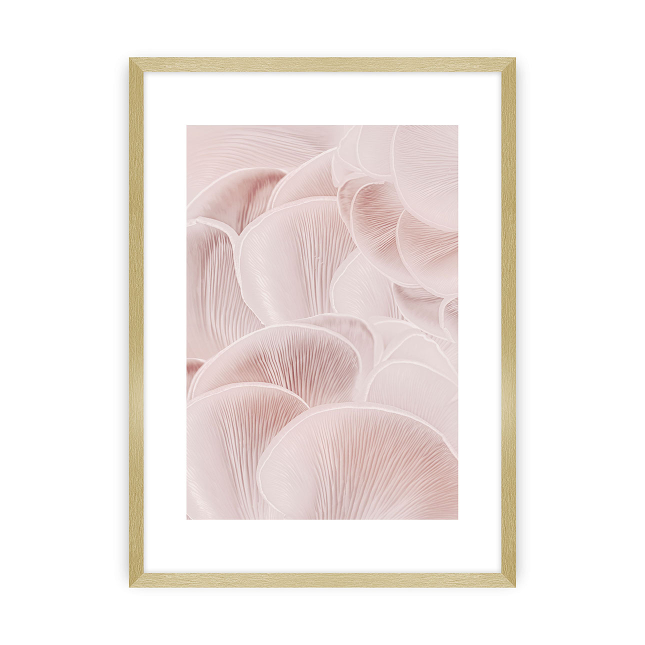 Poster Pastel Pink I, 40 x 50 cm , Ramka: Złota günstig online kaufen