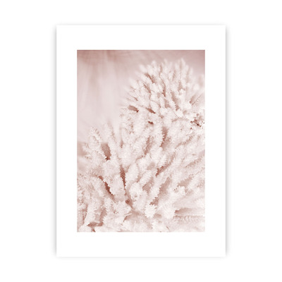 Plakát Pastel Pink II 30 x 40 cm