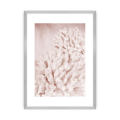 Plakát Pastel Pink II 30 x 40 cm
