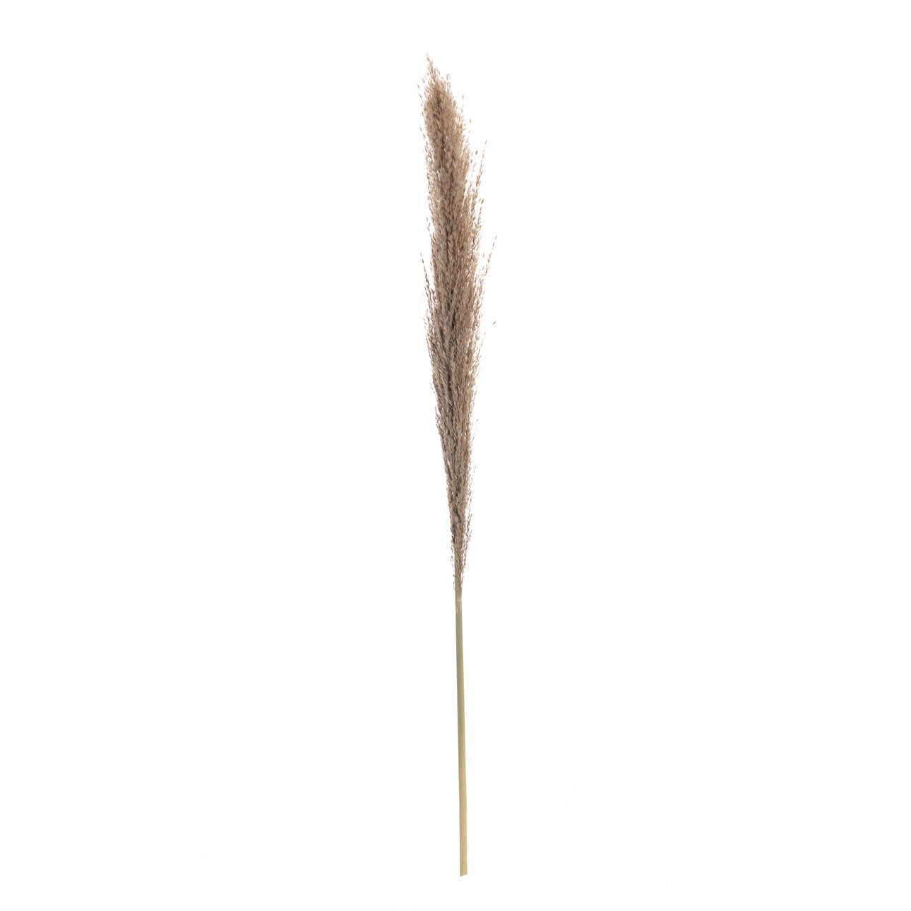 Větvička Pampas Grass 130cm