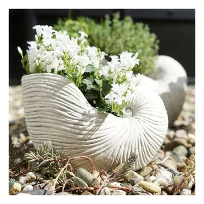 Květináč Shellfish 34 x 22 x 21,5 cm
