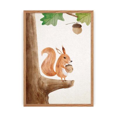 Obrázek Forest Story Squirrel