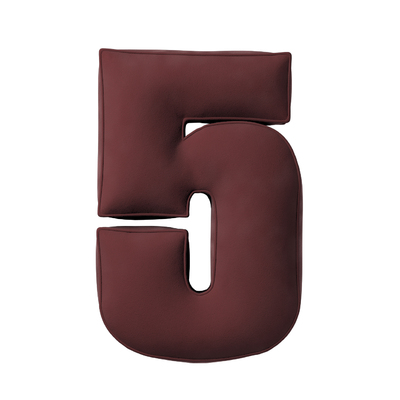 Perna numărul 5