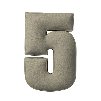 Perna numărul 5