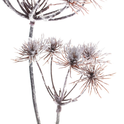 Gałązka Thistle white 100cm 100 cm