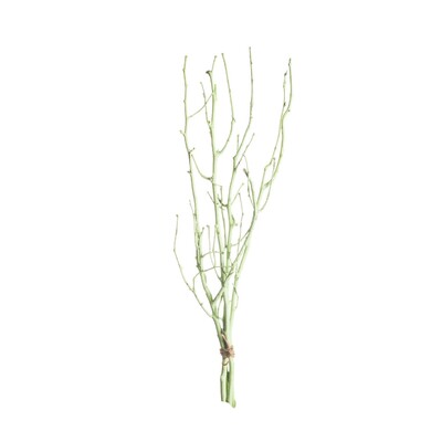 Gałązka Leszczyny 50cm light green