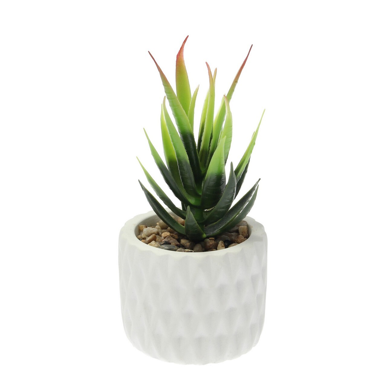 Dekoria Dekorace Sansevieria 12cm, 8 x 8 x 12 cm