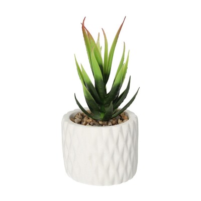 Dekoracja Sansevieria 12cm 8 x 8 x 12 cm