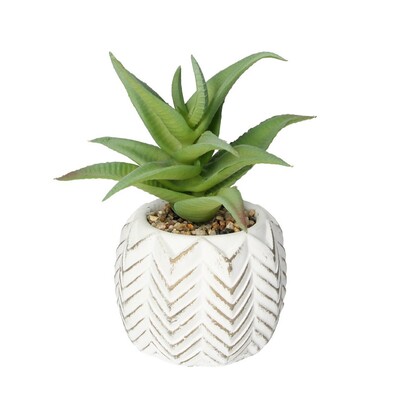 Dekoracja Aloes I 14cm, 8 x 8 x 14 cm - Dekoria.pl