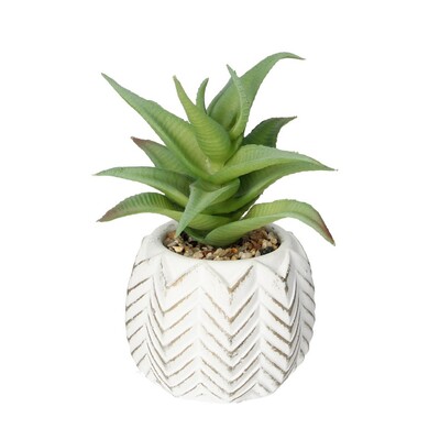 Dekoracja Aloes I 14cm 8 x 8 x 14 cm