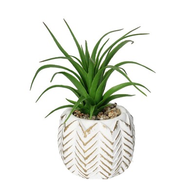 Dekoracja Aloes II 14cm