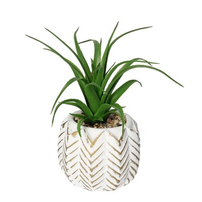 Dekoracja Aloes II 14cm 8 x 8 x 14 cm