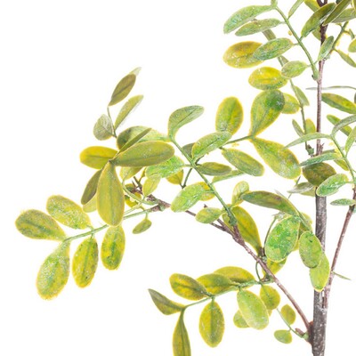 Gałązka Green Twig 100cm 20 x 5 x 100 cm