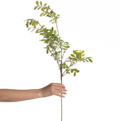 Gałązka Green Twig 100cm 20 x 5 x 100 cm