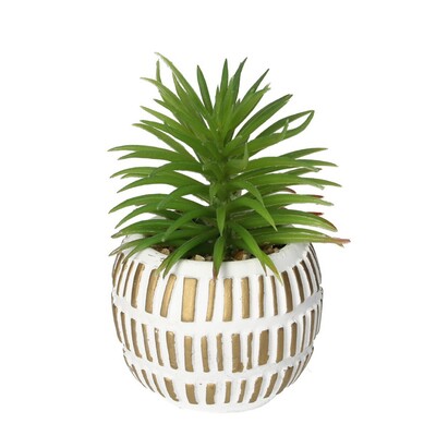 Dekoracja Sukulent w doniczce 13cm