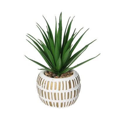 Dekoráció Aloe cserépben 13cm 8 x 8 x 13 cm