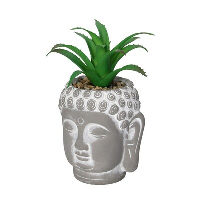 Aloe Buddha dekoráció 17cm 10 x 10 0x 17 cm