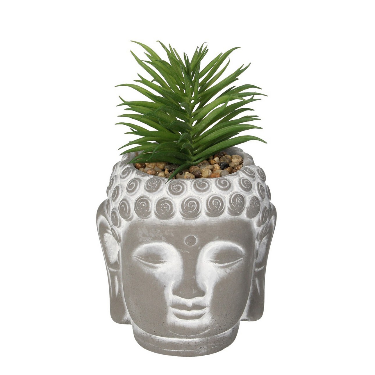 Dekorace Succulent I Buddha 17cm