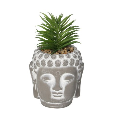 Dekoracja Succulent I Buddha 17cm