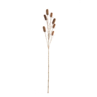 Okrasný bodlák 110cm beige 5 x 5 x 110 cm