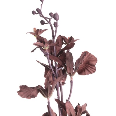 Orchidea 100cm dark plum