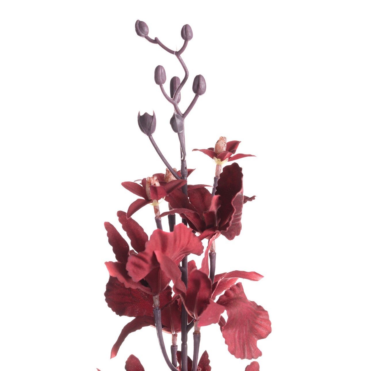 Orchidea 100cm maroon