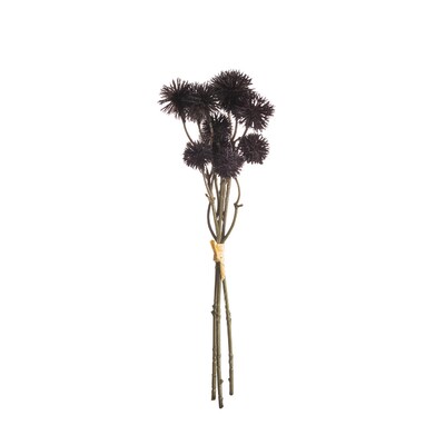 Kraspedia csokor 30cm mélybarna