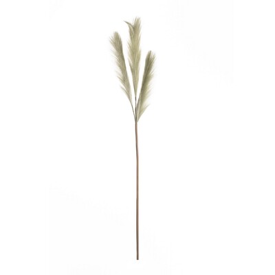 Pampafű 110cm zöld